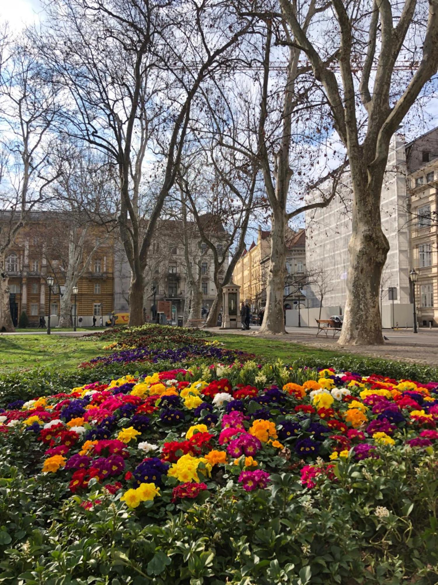 4Citywindows Zagreb Eksteriør bilde