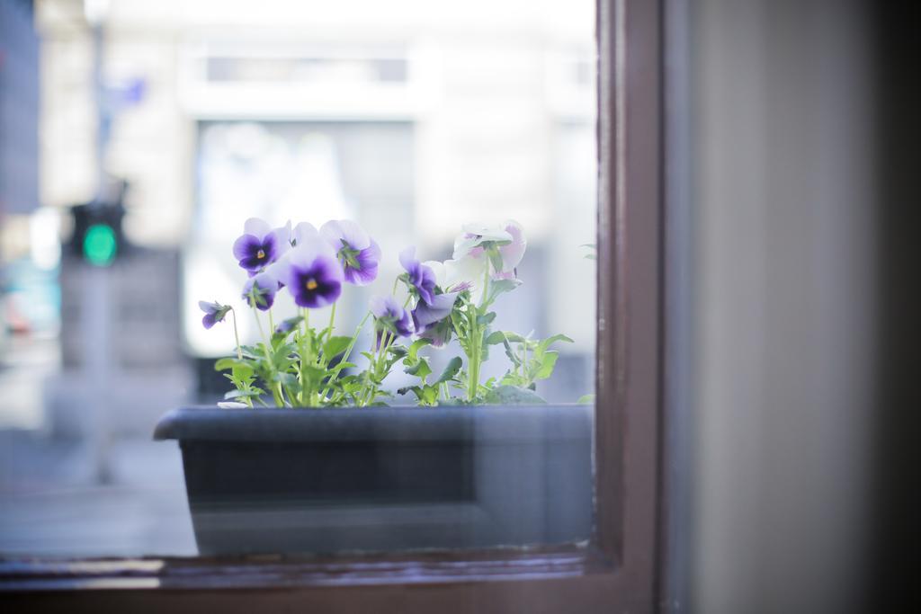 4Citywindows Zagreb Eksteriør bilde